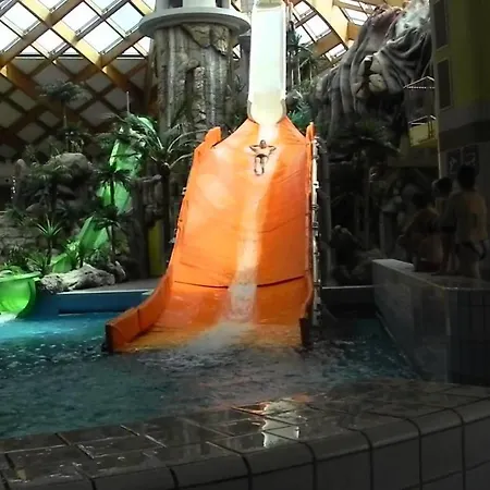 Cozy * Catez ob Savi