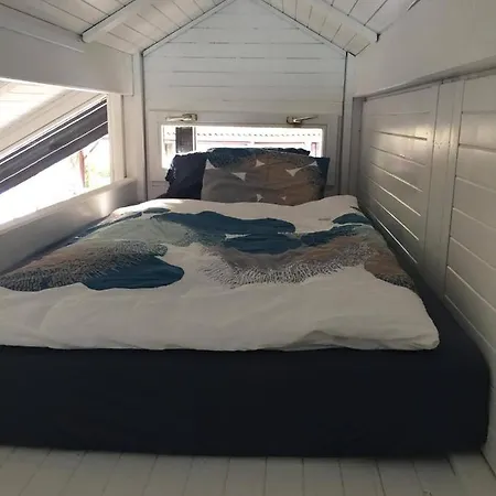 Cozy