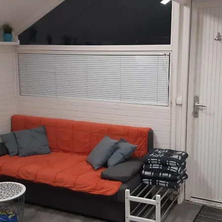 Cozy 卡特兹奥布萨维